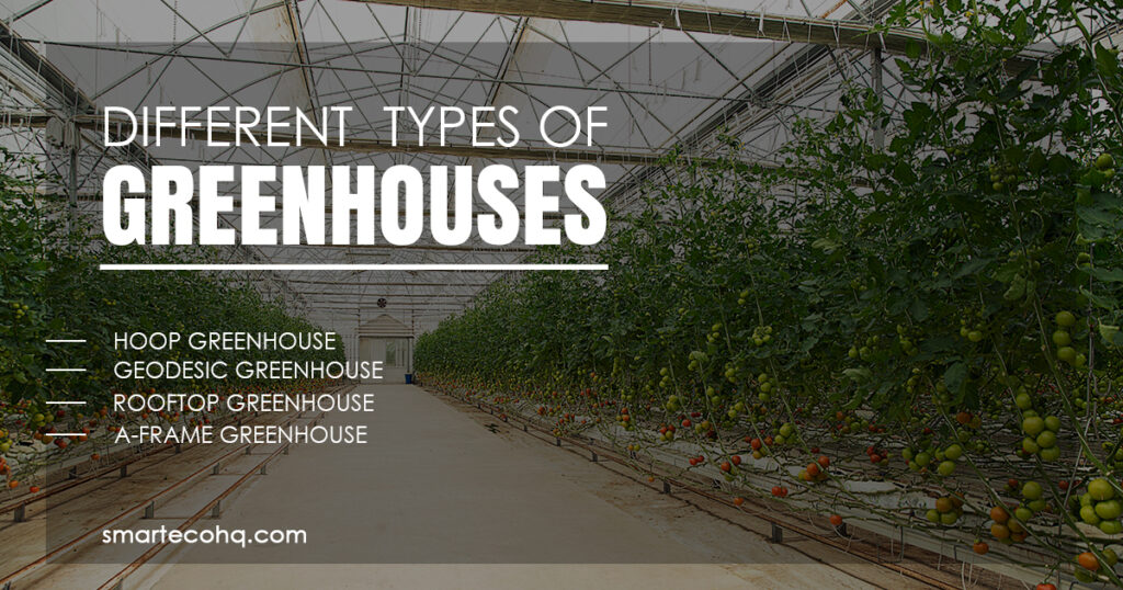 Greenhouse cost