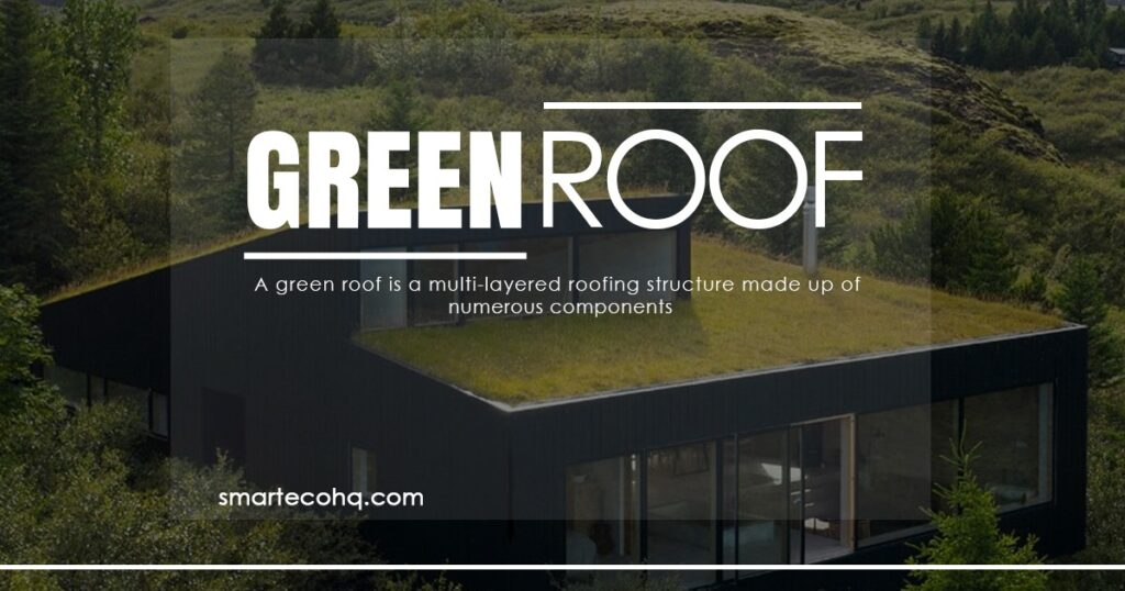 What is green roof