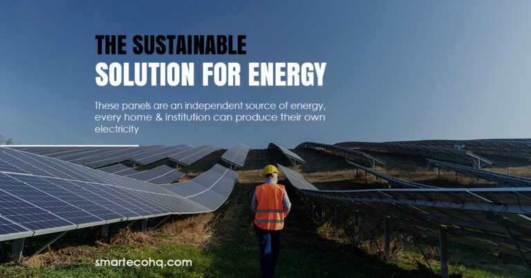 Solar Electrical Panels: The Sustainable Solution For Energy