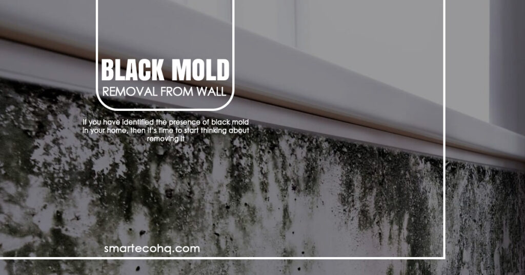 Black mold removal from wall