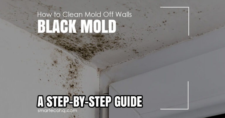 How to Clean Mold Off Walls: A Step-by-Step Guide