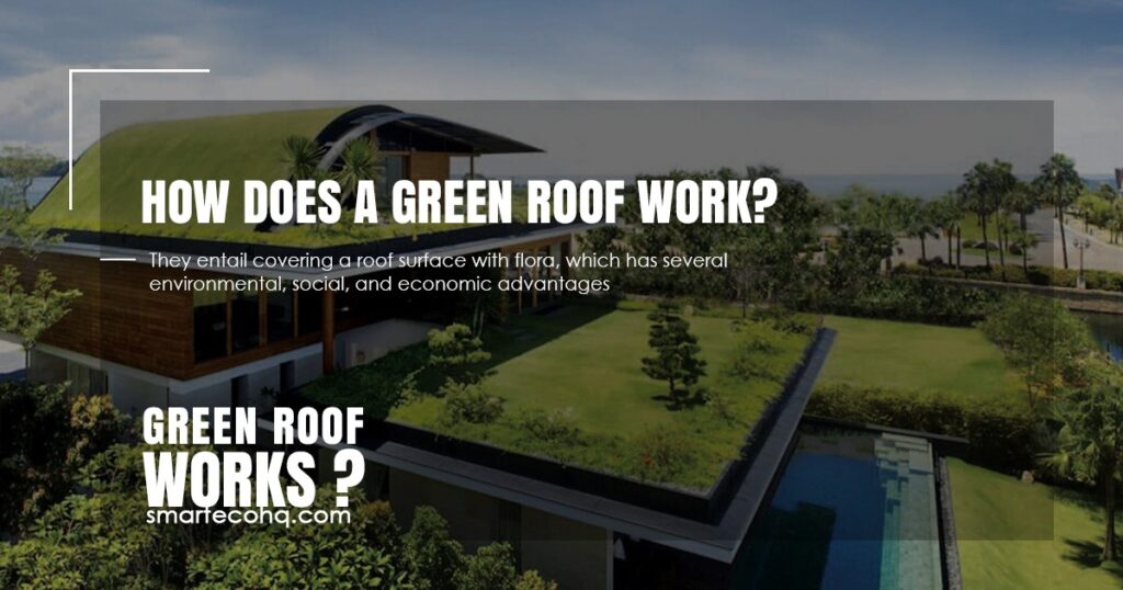 How does a green roof works